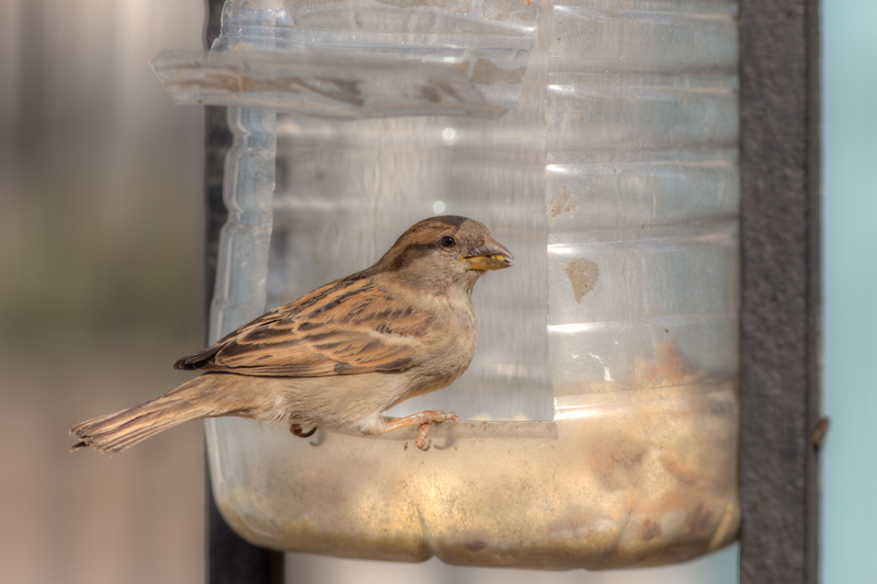 Flexible Waste Solutions - Making the Switch to Rubbish Removal Bags